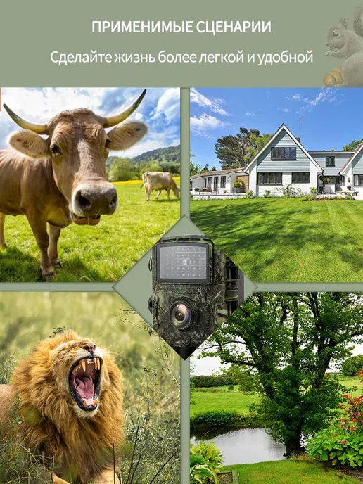 Фотоловушка HD 1080p с ИК-подсветкой до 10 м, 10 м, фото 4