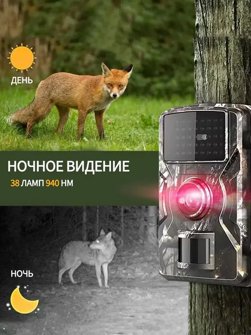 Фотоловушка HD 1080p с ИК-подсветкой до 10 м, 10 м, фото 5