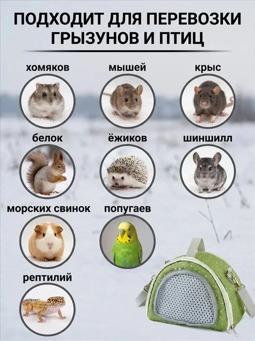 Переноска сумка для хомяка грызунов крыс попугай птицы, зеленый, фото 2