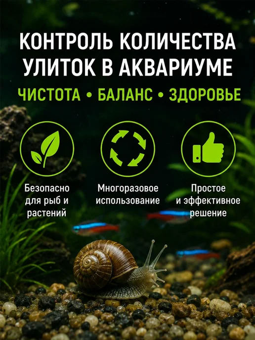 Ловушка для улиток в аквариуме, ловушка от катушек и физ, зеленый, фото 8
