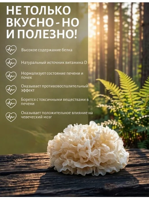 Грибы сушеные древесные Коралловый Тремелла, 100гр, 35 г, фото 2