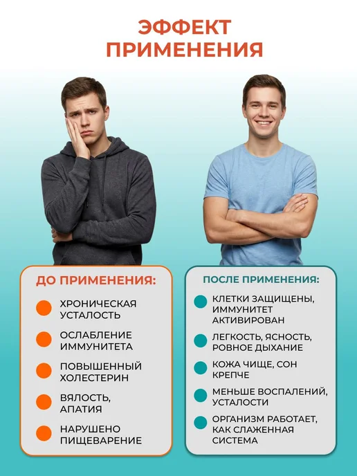 Траметес разноцветный мицелий молотый в порошке 200г, 200 г, фото 3