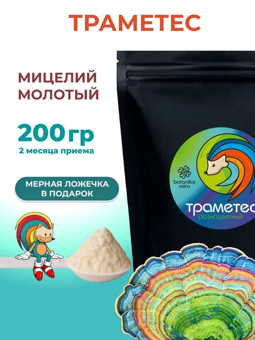 Траметес разноцветный мицелий молотый в порошке 200г, 200 г, фото 4