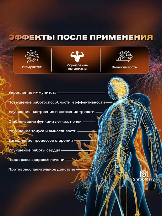 Кордицепс военный милитарис Cordyceps militaris порошок 150г, 150 г, фото 2