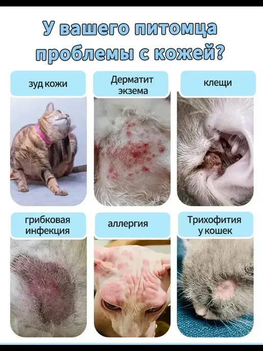 Собака сильно чешется, вариант, фото 2