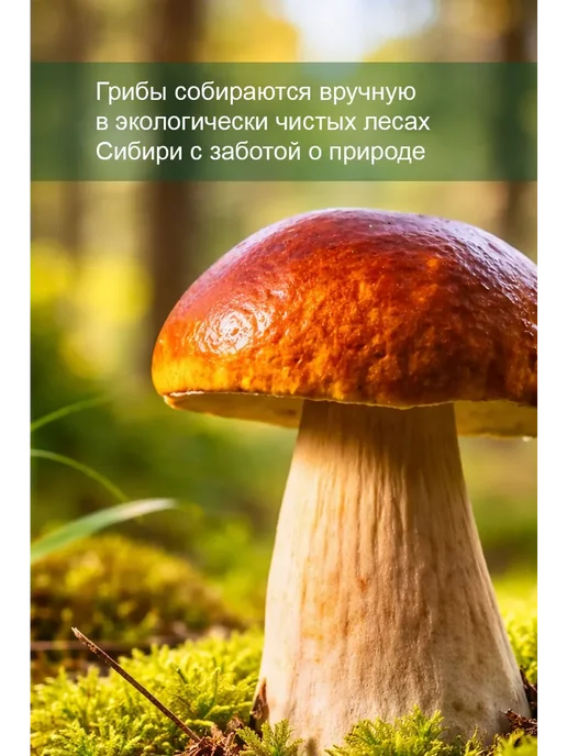 Грибы сушеные белые 50г, 50 г, фото 3