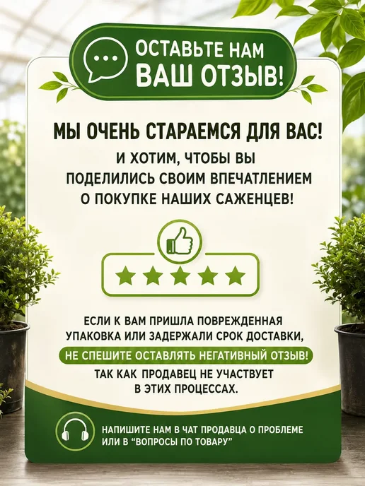 САД ГАРАНТ Луковицы тюльпанов Бумальди 5 шт, 5 шт, фото 4