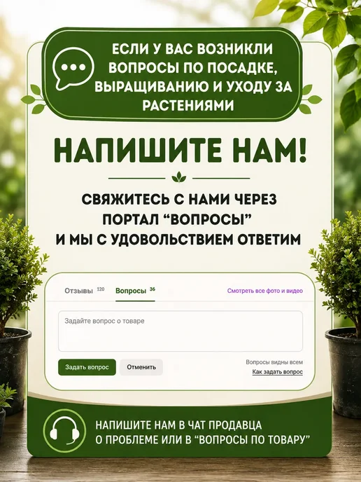 САД ГАРАНТ Луковицы тюльпанов Бумальди 5 шт, 5 шт, фото 5