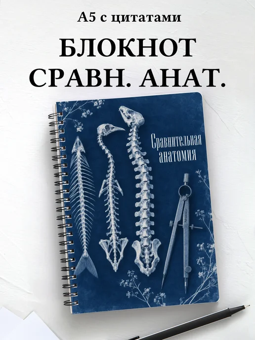 Блокнот Сравнительная анатомия с мотивирующими цитатами