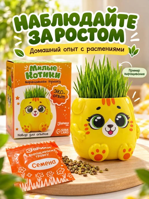 Трендовые товары 2 Набор для выращивания травы в горшочке котенок, вариант, фото 2