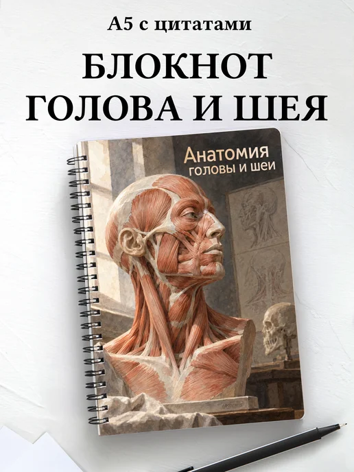 Блокнот Анатомия головы и шеи с мотивирующими цитатами