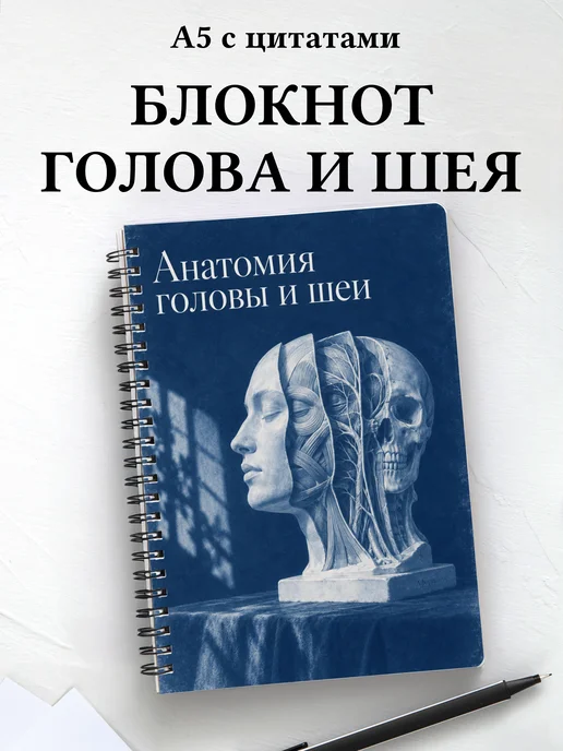 Блокнот Анатомия головы и шеи с мотивирующими цитатами