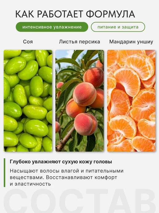 Шампунь и кондиционер SCALPD Organic DRY 2x350 мл, для сухой, 2x350, 350 мл, фото 5