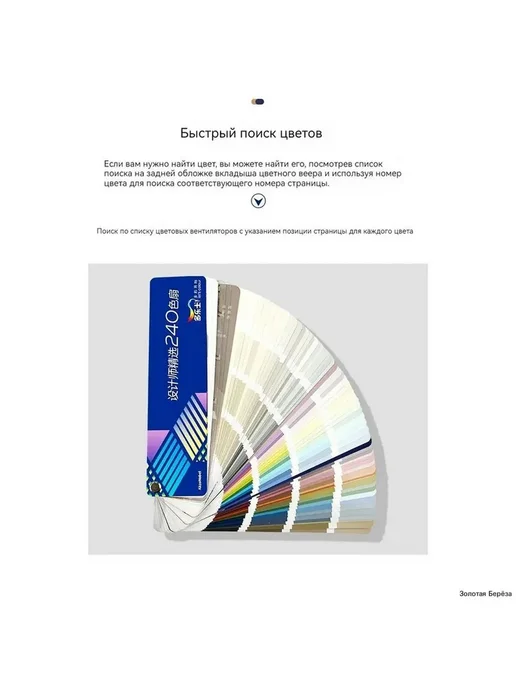 Карта цветов Dulux Select 240, новинка 2024, вариант, фото 3