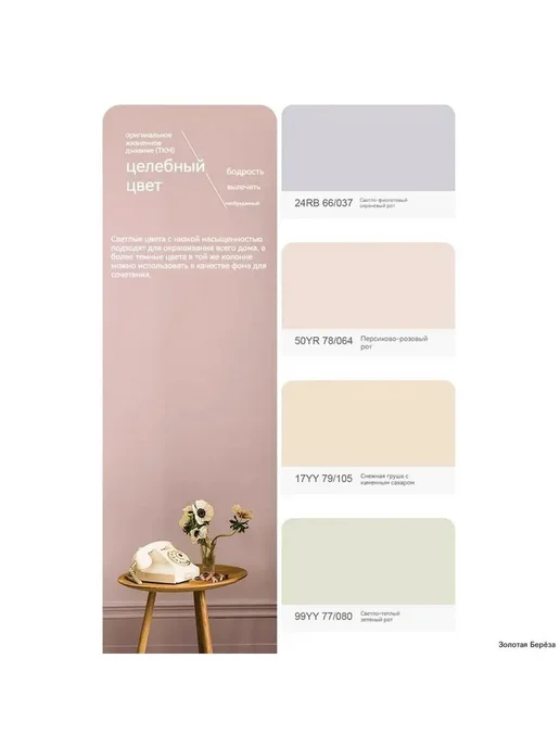 Карта цветов Dulux Select 240, новинка 2024, вариант, фото 4