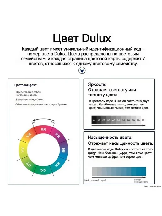 Карта цветов Dulux Select 240, новинка 2024, вариант, фото 7