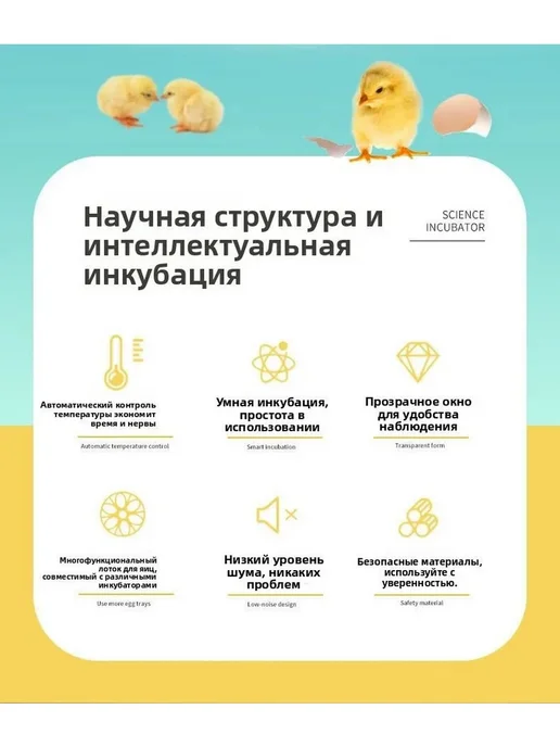 Инкубатор домашний интеллектуальный для цыплят, вариант, фото 4