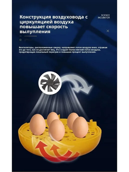 Инкубатор домашний интеллектуальный для цыплят, вариант, фото 8