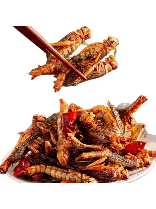 Экзотика саранчовые чипсы 30г, 30 г, фото 6