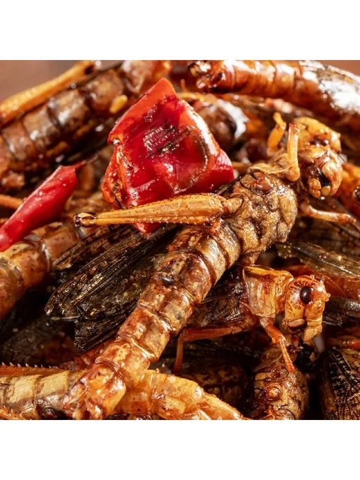 Закуска насекомые острая 30г, 30 г, фото 3