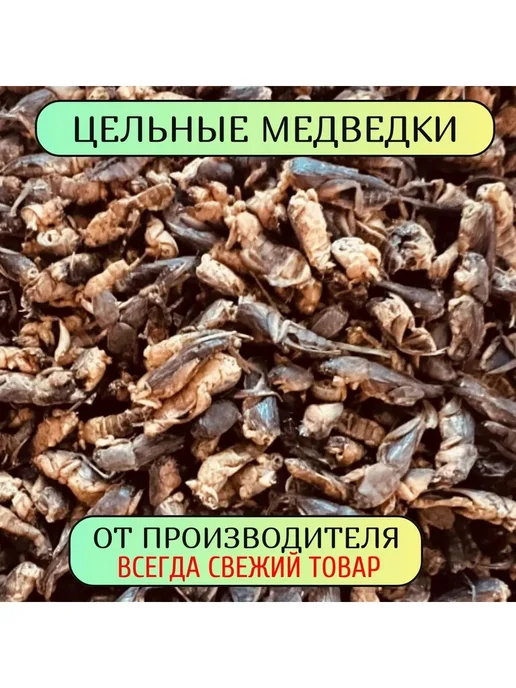 Суш. паучок азиат. 90г, 90 г, фото 4