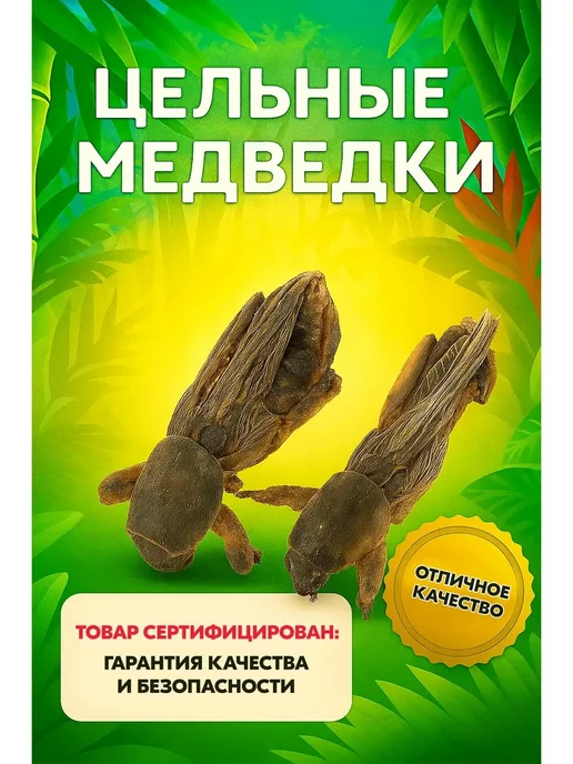 Паучок азиат. 90г сух, 90 г, фото 5