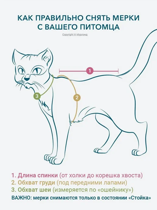 Попона для кошек послеоперационная Ирбис, Вес 46 кг, размер, 46 кг, фото 7