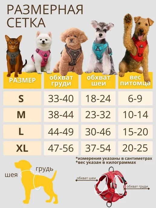 анатомия ремня безопасности, вариант, фото 3