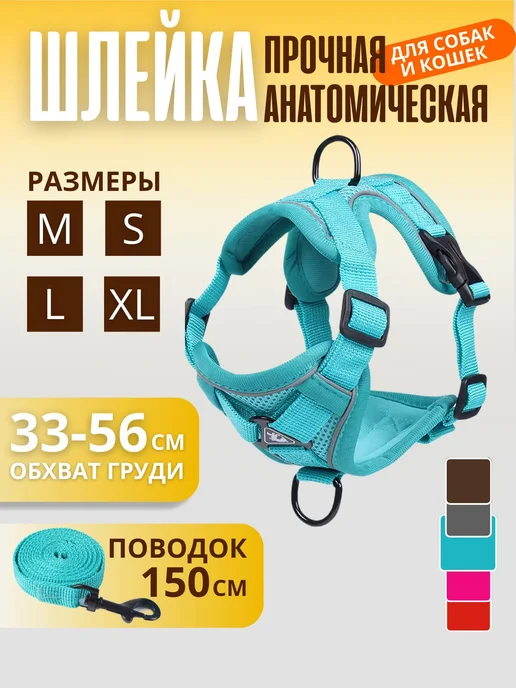 анатомия ремня безопасности, вариант