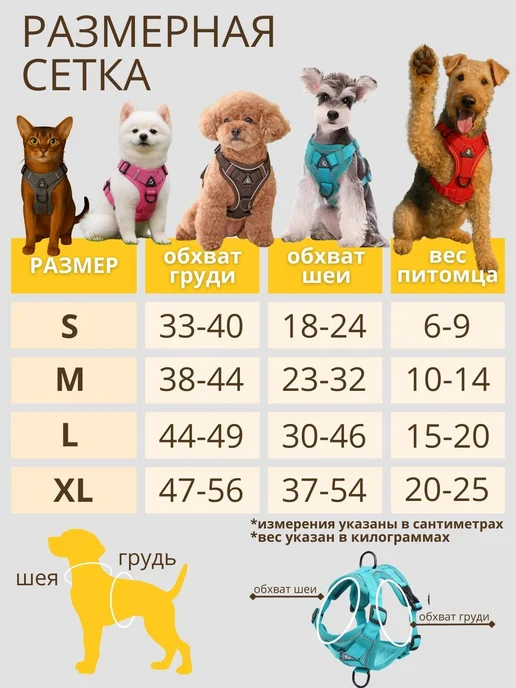 анатомия ремня безопасности, вариант, фото 3