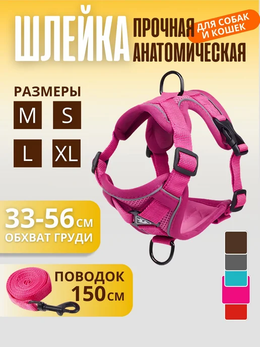 анатомия ремня безопасности, вариант