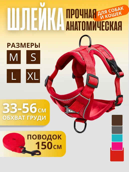 анатомия ремня безопасности, вариант