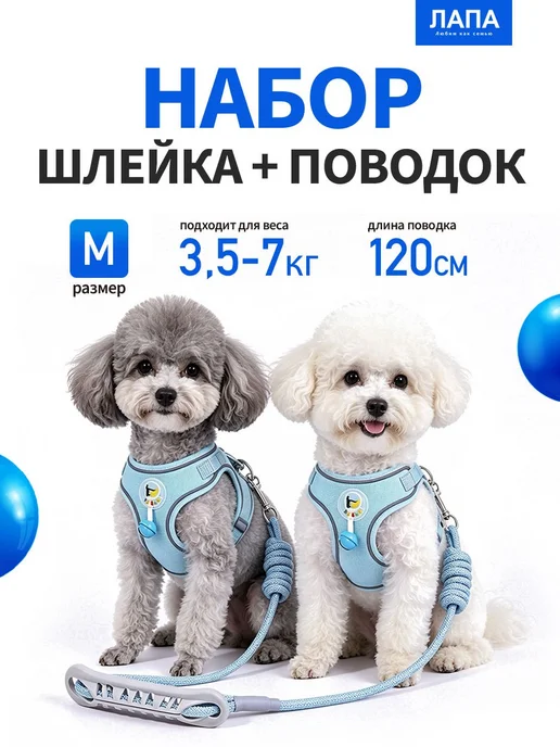 Нагрудный поводок для верховой езды, вариант