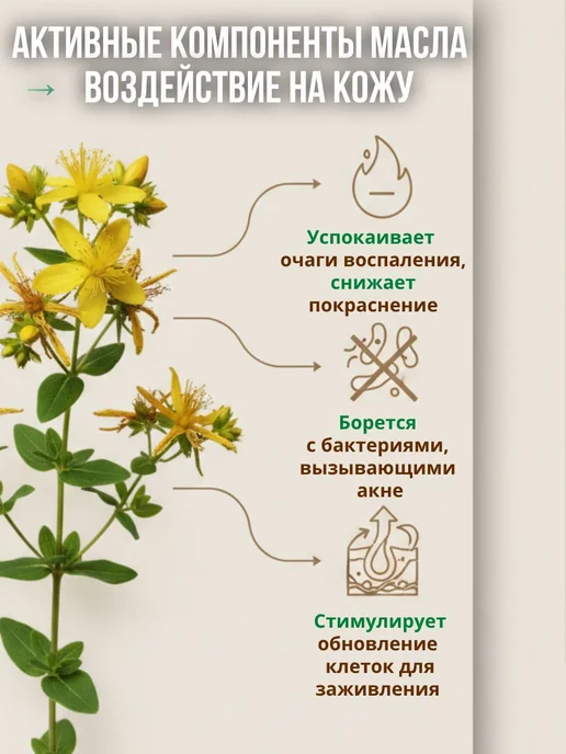 Масло зверобоя для массажа лица, Успокаивающее, для кожи, от, вариант, фото 4