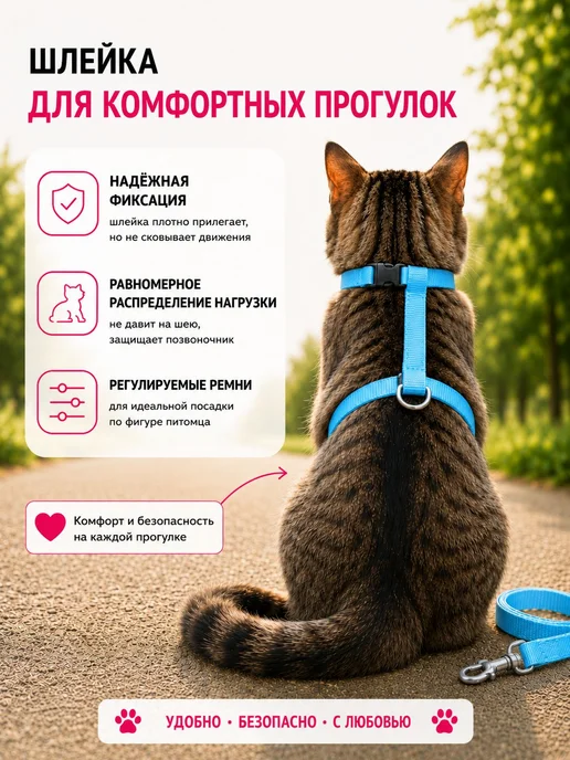 Уберите ремень безопасности, вариант, фото 4