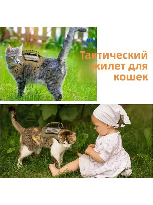 Велосипедная тяга с ремнями безопасности, вариант, фото 2