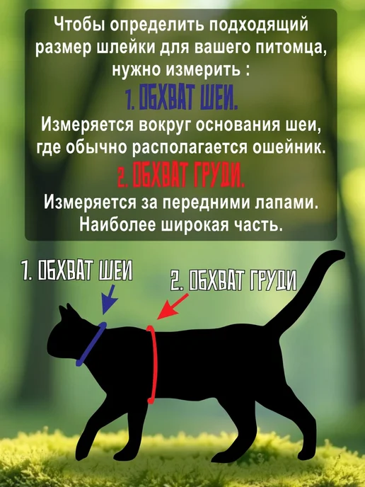 анатомия ремня безопасности, вариант, фото 5