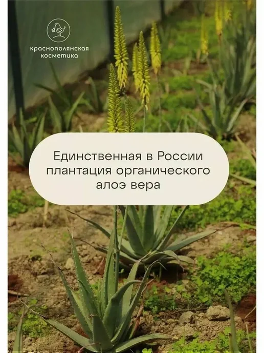 Набор уходовой косметики для лица, вариант, фото 7