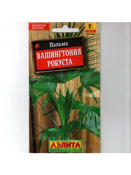 Семена ПАЛЬМА ВАШИНГТОНИЯ РОБУСТА, вариант