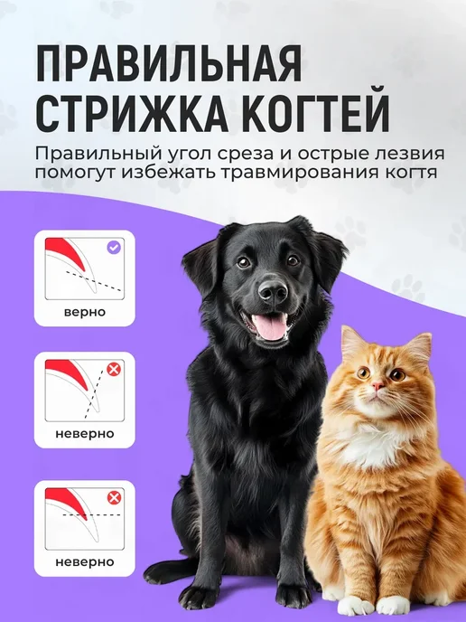 Когтерезка для кошек и собак с электрическим гриндером, белый, фото 6