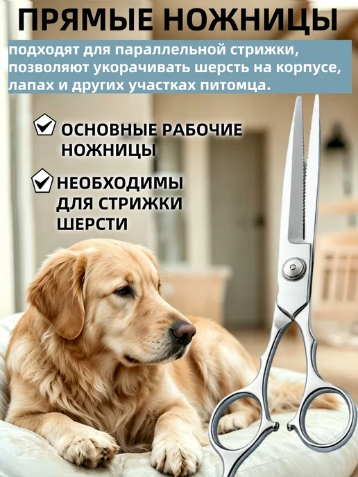 Ножницы для груминга 3 шт прямые, изогнутые, филировочные, 3 шт, фото 2