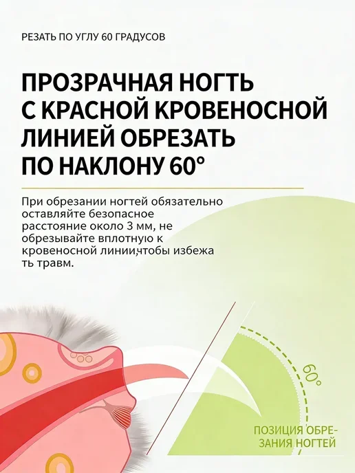 Когтерезка для собак и кошек с гриндером и подсветкой, белый, фото 6