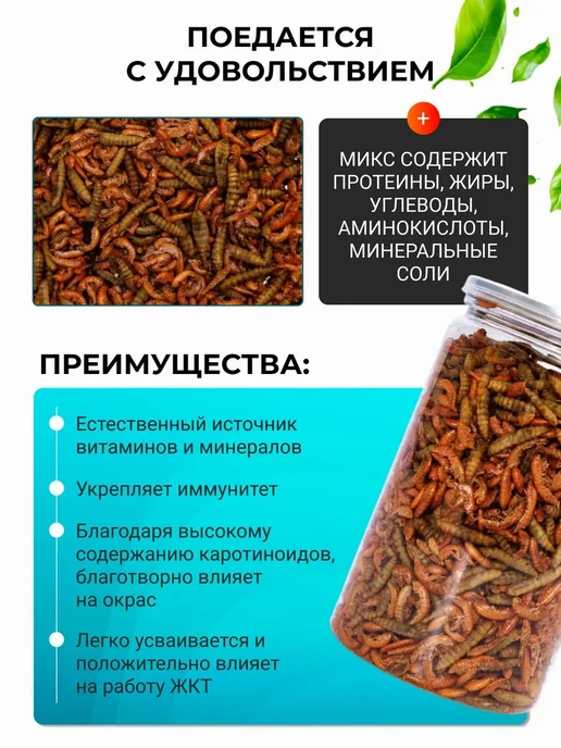 Львинка и Гаммарус природный белок кальций для черепах, вариант, фото 3