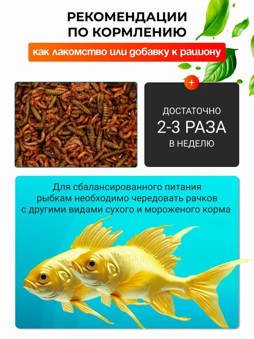 Львинка и Гаммарус природный белок кальций для черепах, вариант, фото 4