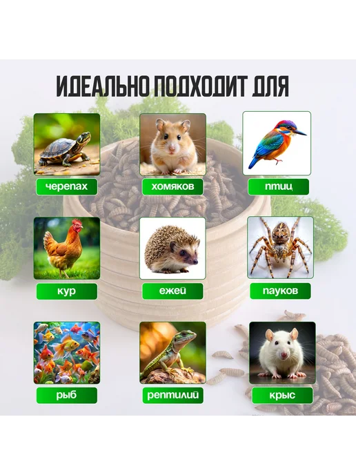 Сушеная креветка 140 гр для черепах, аквариумных рыбок, 140 г, фото 2