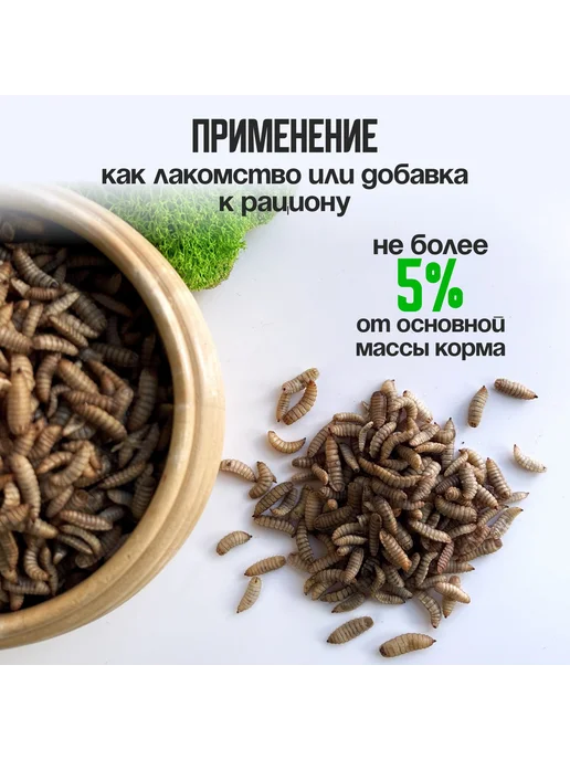 Сушеная креветка 140 гр для черепах, аквариумных рыбок, 140 г, фото 4