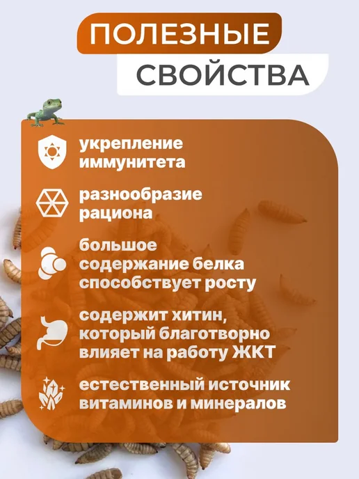 Сушеная креветка 140 гр для черепах, аквариумных рыбок, 140 г, фото 3