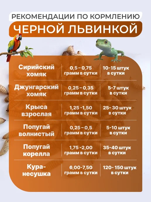 Сушеная креветка 140 гр для черепах, аквариумных рыбок, 140 г, фото 5
