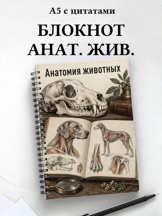 Блокнот Анатомия животных с мотивирующими цитатами