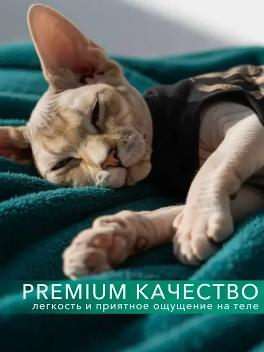 Одежда для кошек животных, вариант, фото 4